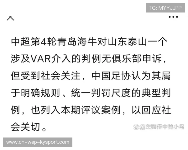 中国足协公布最新裁判名单，备受关注，中国足协裁判员官网