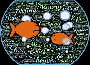 开云体育登入-法甲实际战术板使用率与胜率关系初步调查，法国套战术板