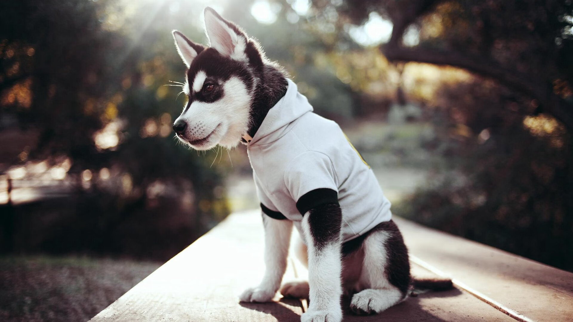 kaiyun登录入口-世界杯预选赛中国青年队战平 战术尝试值得肯定，世界杯预选赛中国队出现