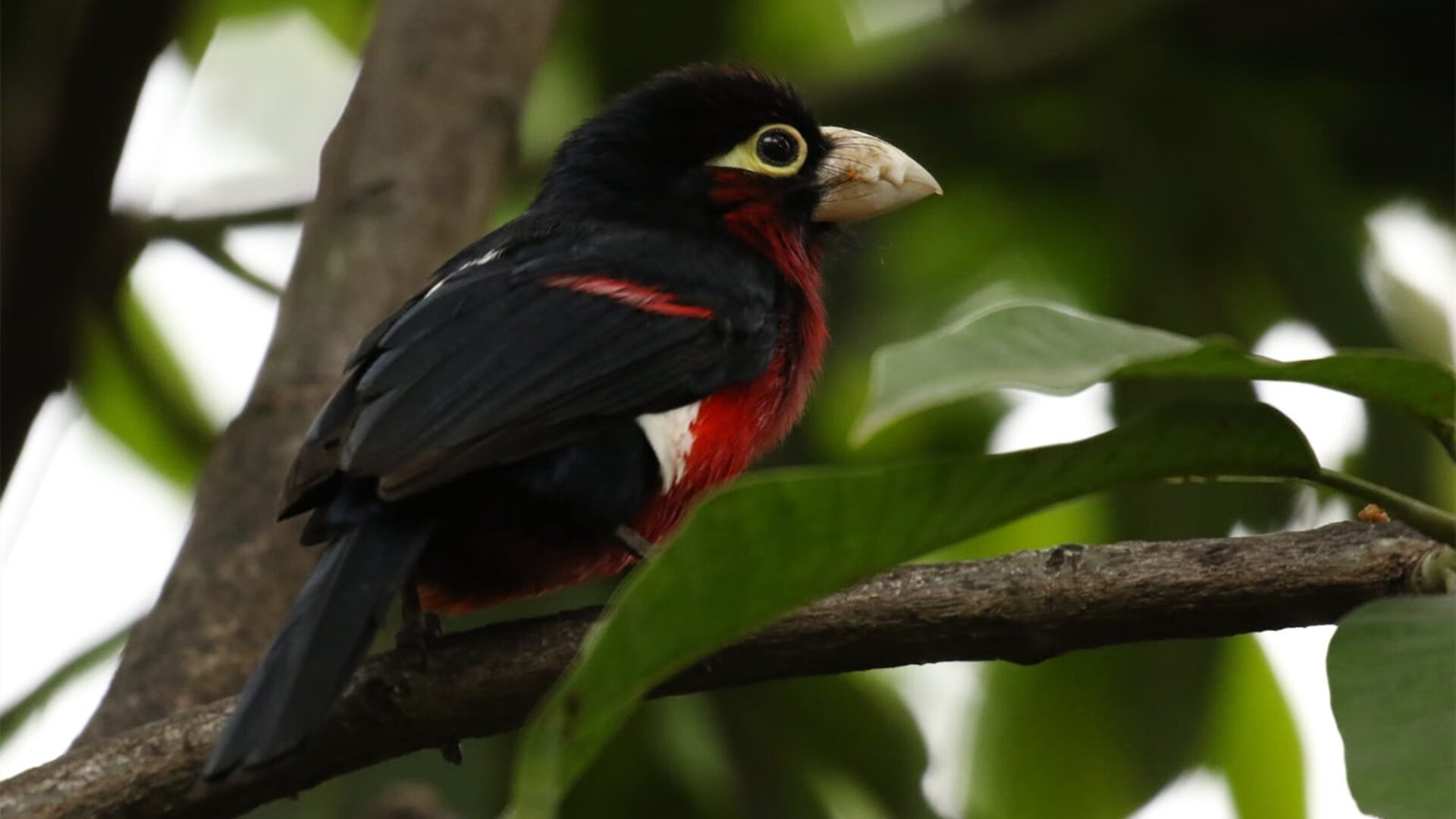 俱乐部与媒体之间缺乏建设性合作机制,俱乐部发展建议