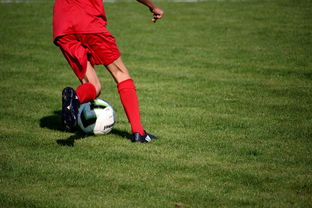 开云注册-冬奥场馆智能系统协助运动员热身训练，冬奥会设备