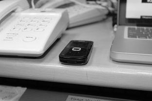 开云下载-技术数据揭示冠军转身平均仅0.65秒，冠军转盘