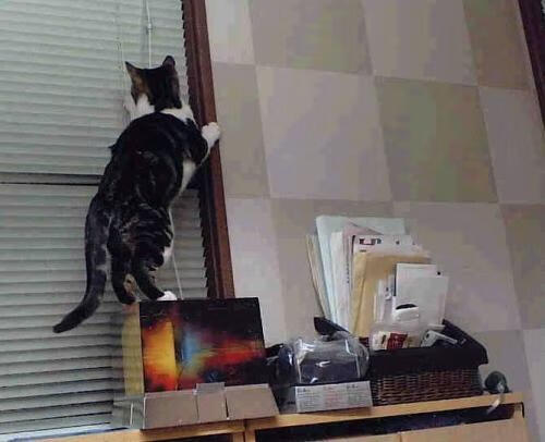 青少年体育蓬勃发展全民健身热情高涨，青少年 体育