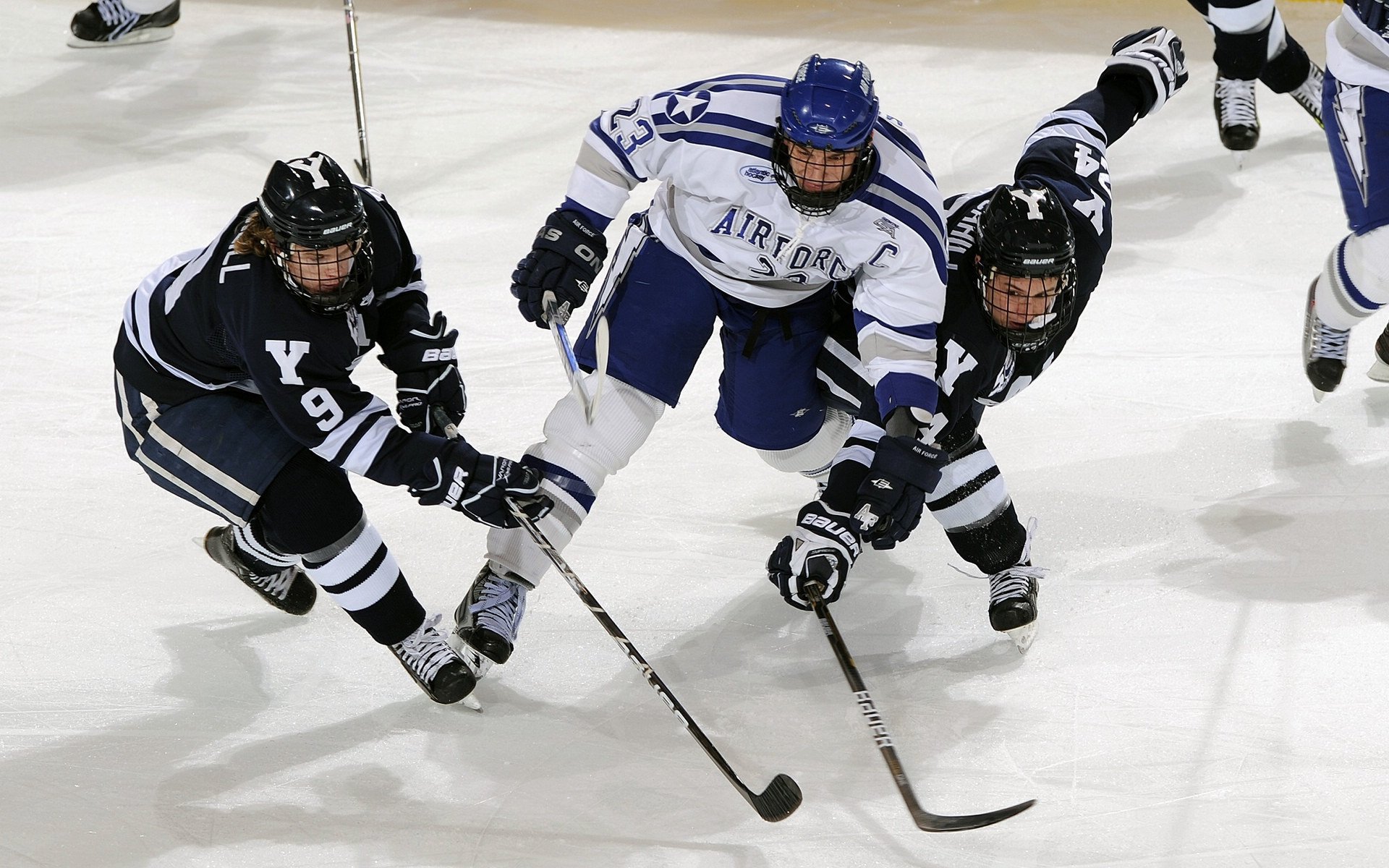 3-1！曼城狂造3神迹，哈兰德双响打崩黑马，瓜帅盛赞比肩梅罗，哈兰德 曼城球迷群